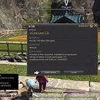 ffxiv housing lottery system